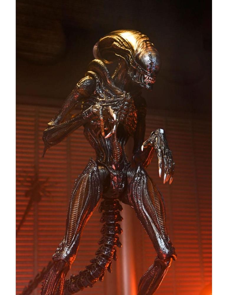 Ultimate scorched xenomorph scale action fig. 23 cm alien: romulus