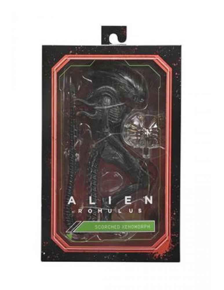Ultimate scorched xenomorph scale action fig. 23 cm alien: romulus - Imagen 2