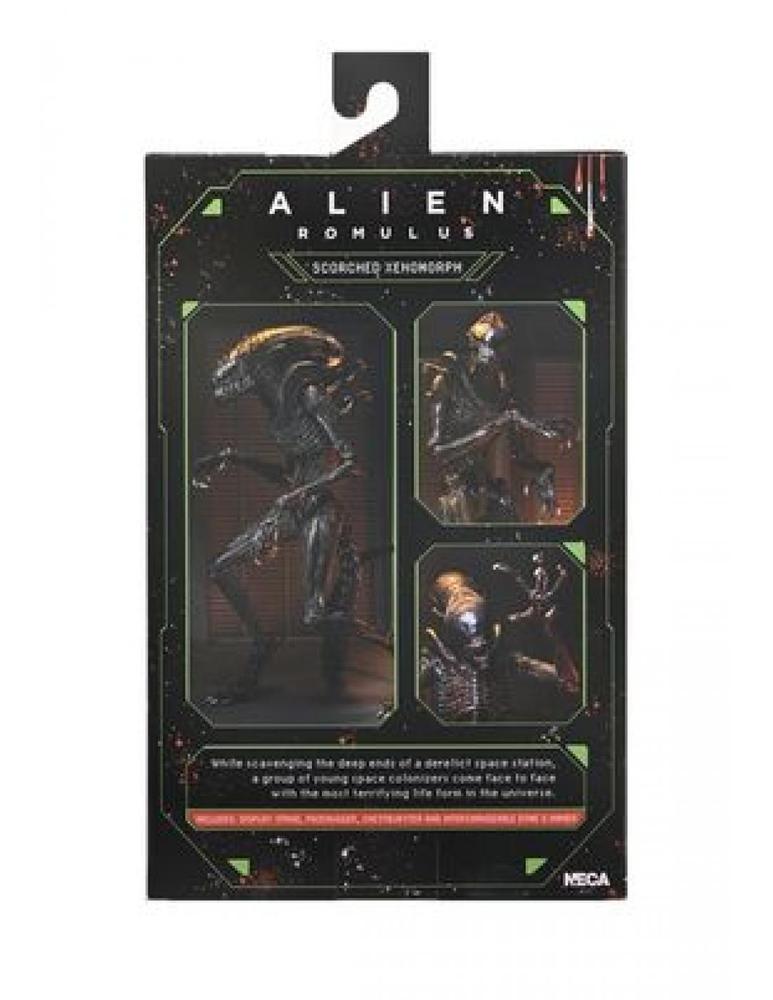 Ultimate scorched xenomorph scale action fig. 23 cm alien: romulus - Imagen 3